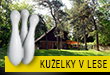 Kuelky v lese 2024